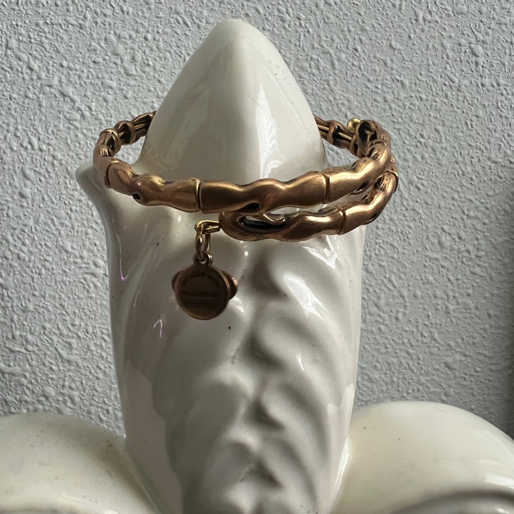 Alex and Ani bracelet